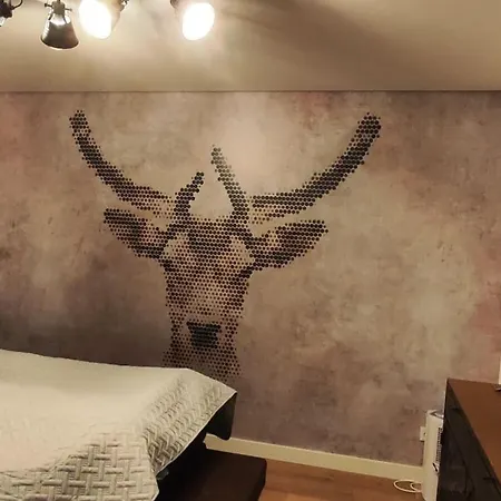 Apartment With 1 Bedroom