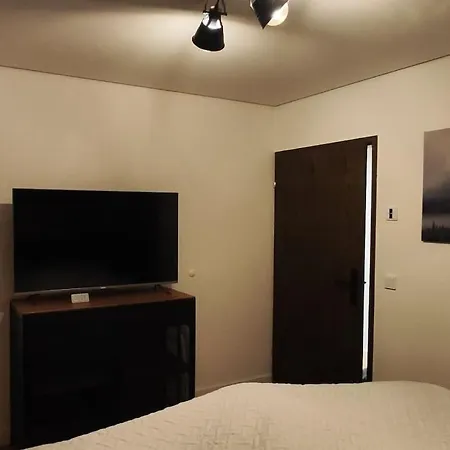 Apartment With 1 Bedroom
